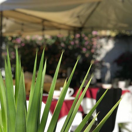 Grace Valley Hotel Arequipa Bagian luar foto