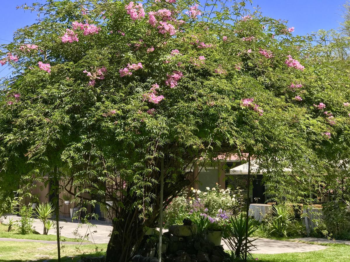 Grace Valley Hotel Arequipa Bagian luar foto