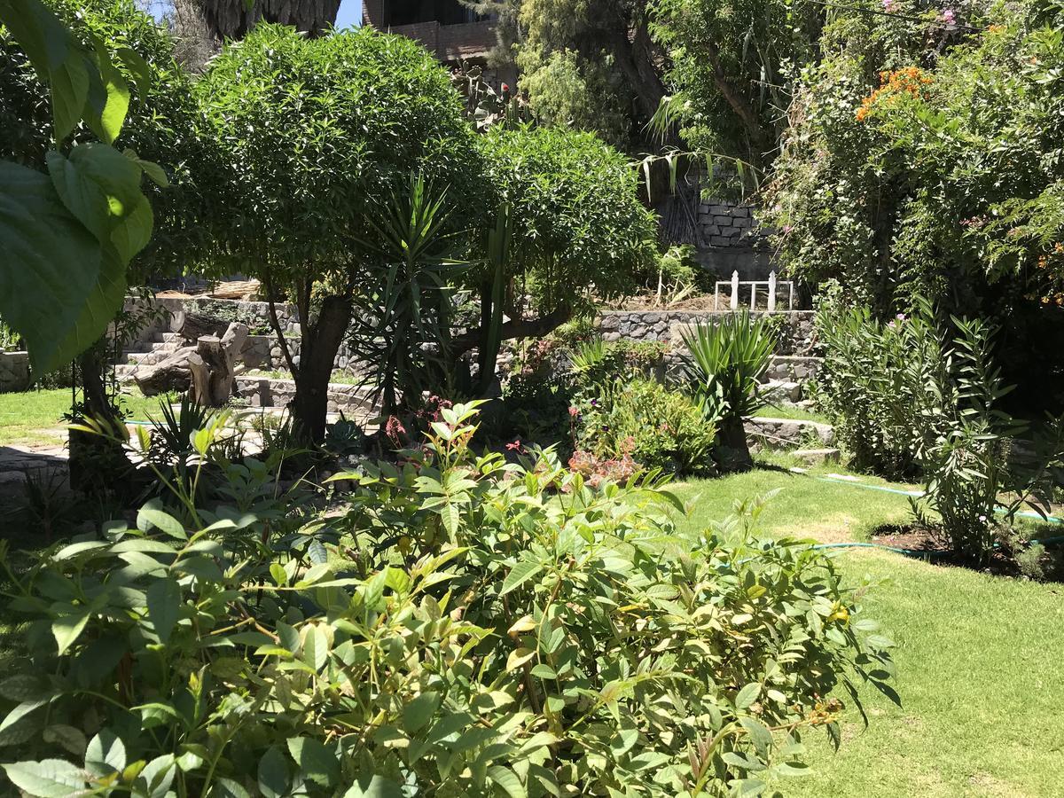 Grace Valley Hotel Arequipa Bagian luar foto