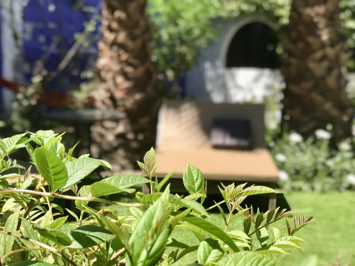 Grace Valley Hotel Arequipa Bagian luar foto