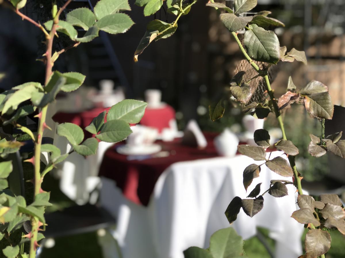 Grace Valley Hotel Arequipa Bagian luar foto