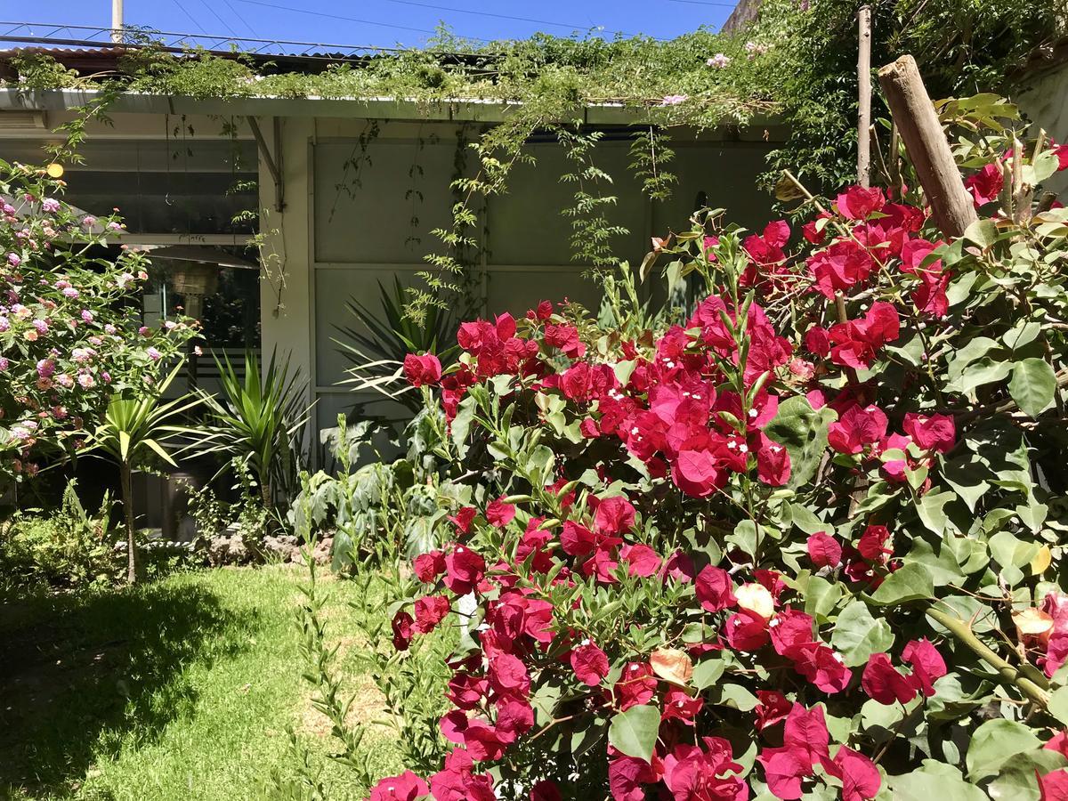 Grace Valley Hotel Arequipa Bagian luar foto