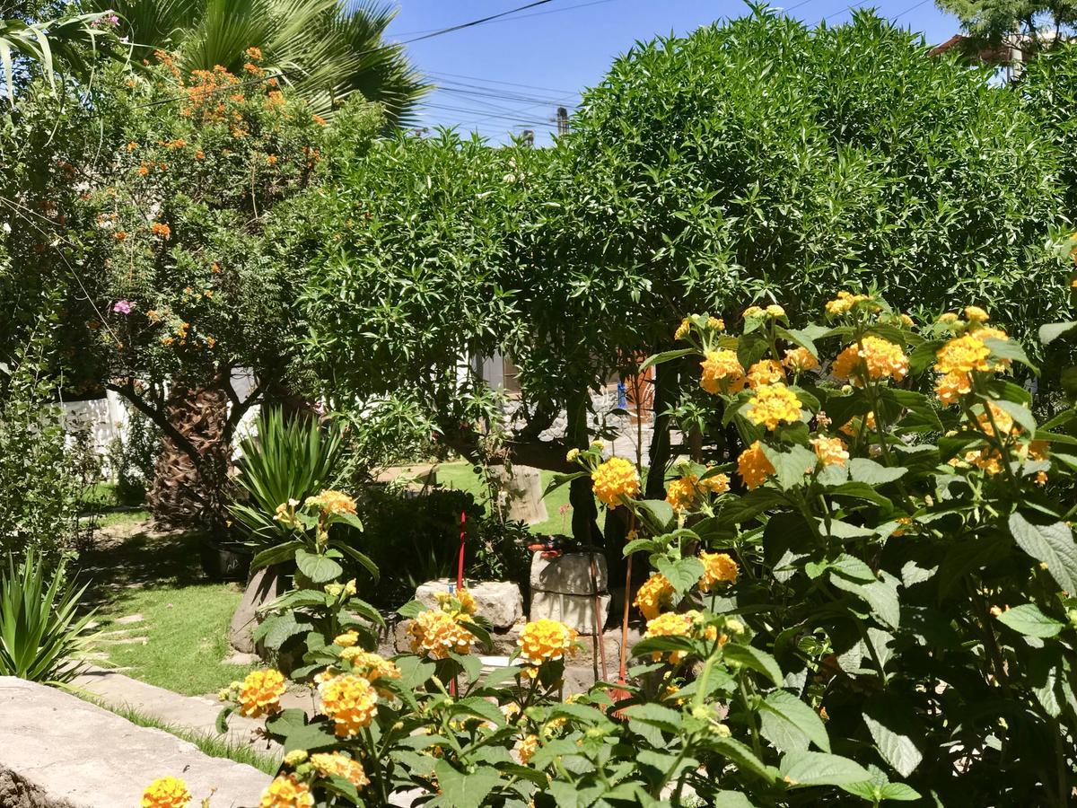 Grace Valley Hotel Arequipa Bagian luar foto