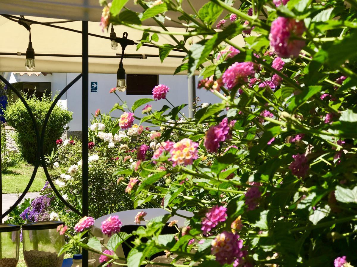 Grace Valley Hotel Arequipa Bagian luar foto