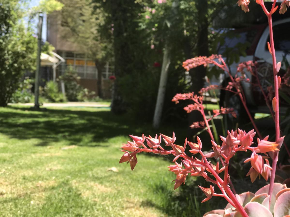 Grace Valley Hotel Arequipa Bagian luar foto
