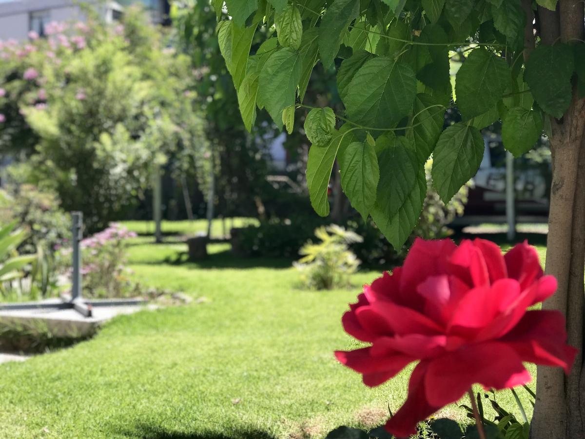 Grace Valley Hotel Arequipa Bagian luar foto