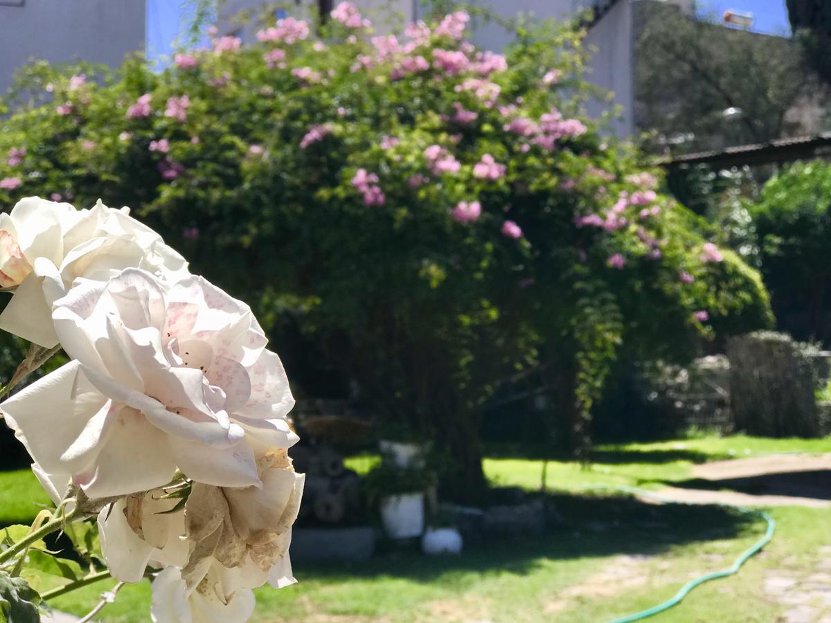 Grace Valley Hotel Arequipa Bagian luar foto